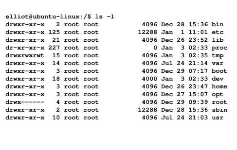 Сколько корневых папок содержит файловая система linux