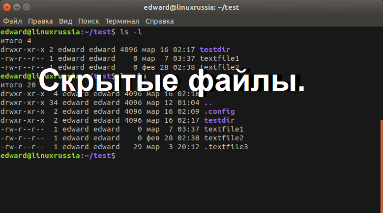 Создать директорию для совместной работы linux